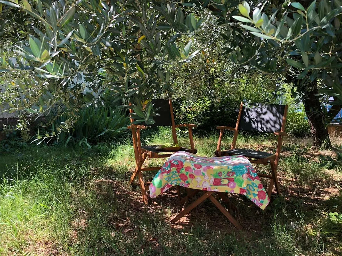 Magnolia Apartment Pula Croatia